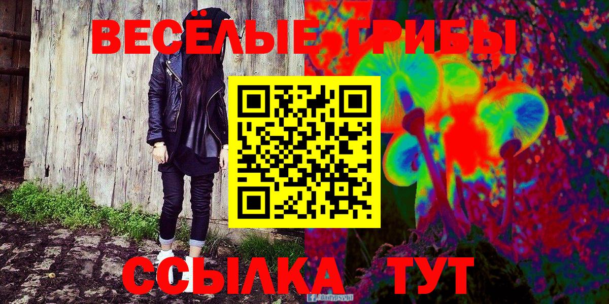 Псилоцибиновые грибы ЛСД Кулебаки